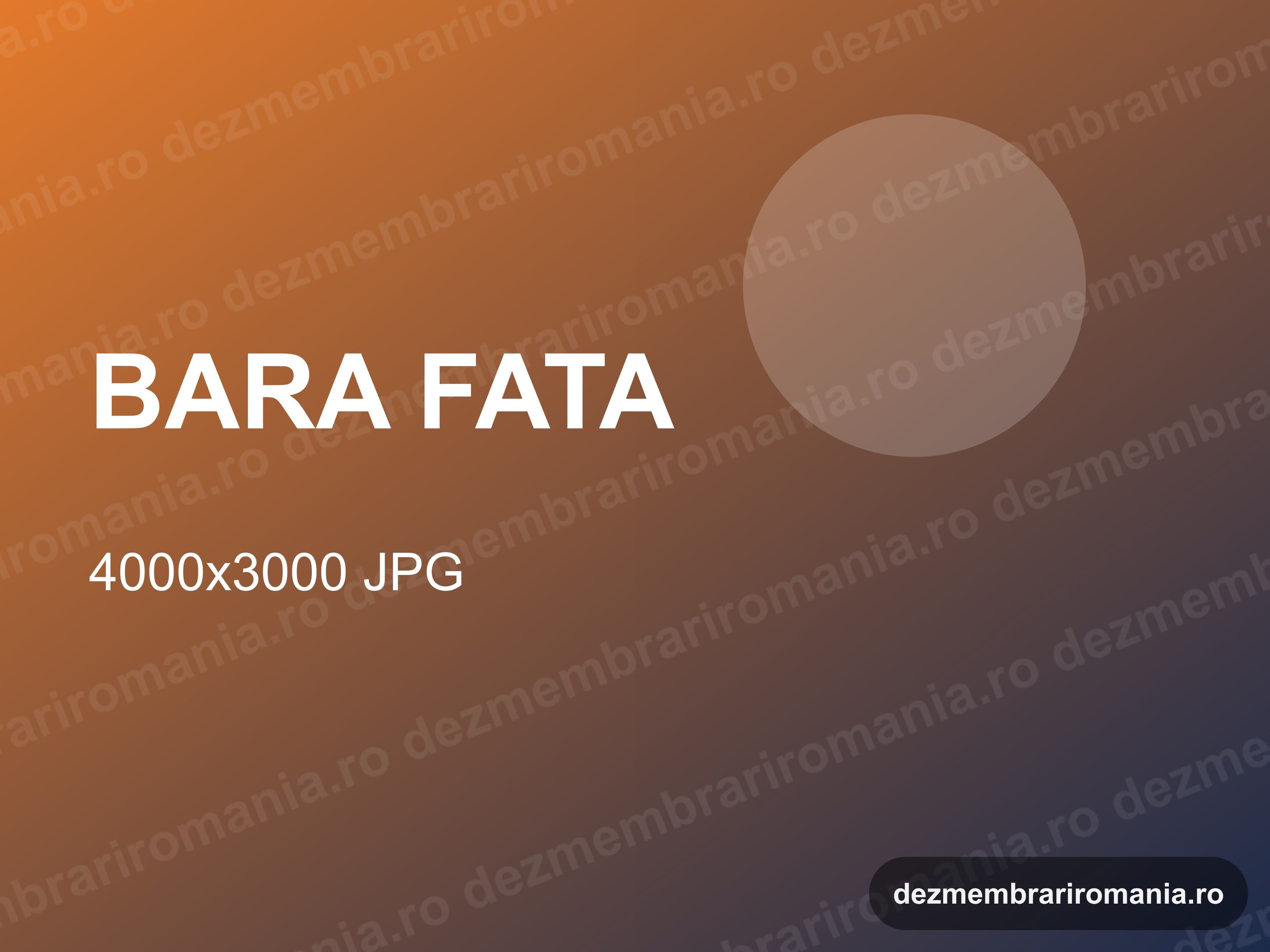 Calculator motor (ECU) — Ford Mondeo V